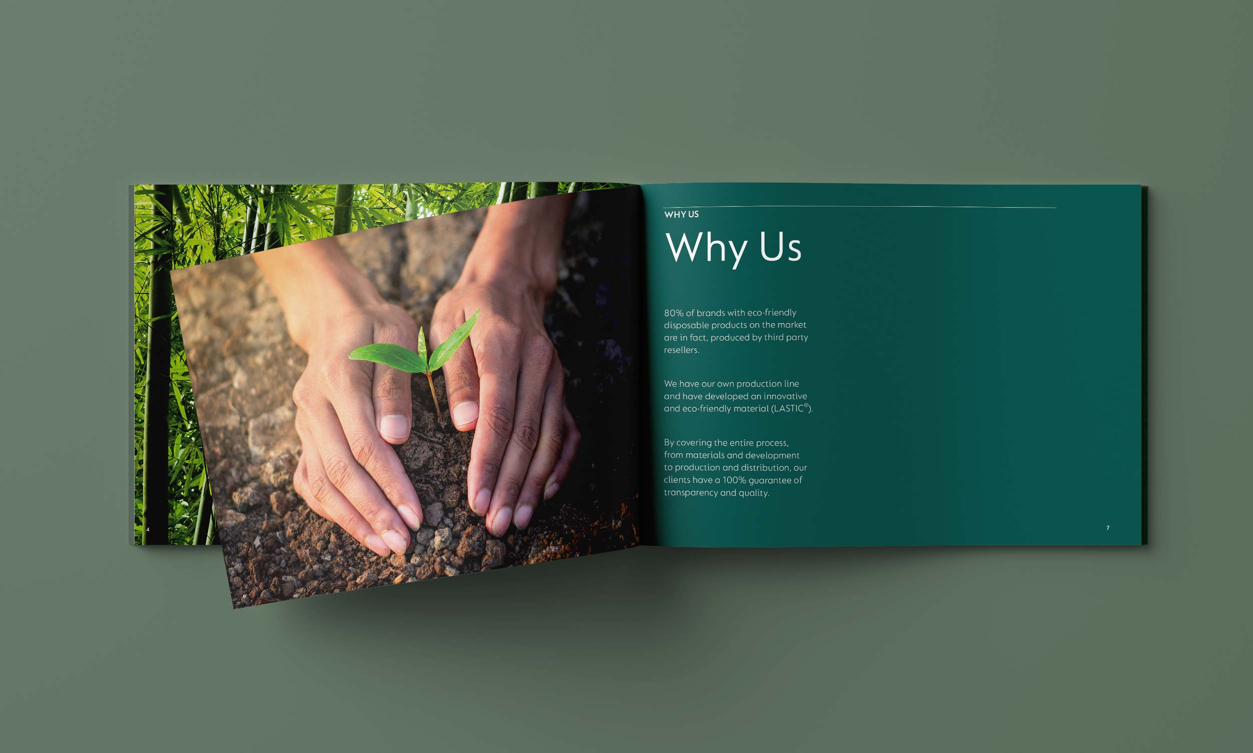 BAMBOO - Company Profile Booklet. Brand Story. Advertising Agency in Taiwan. Marketing and Branding - BE LUCKY Taipei.