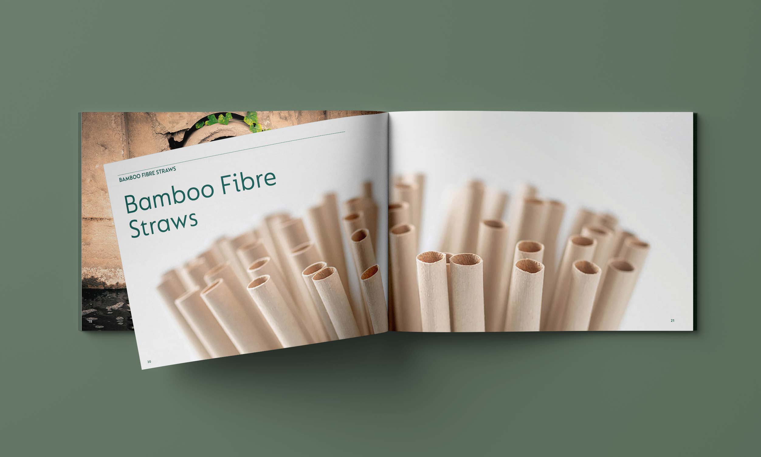 BAMBOO - Company Profile Booklet. Brand Story. Advertising Agency in Taiwan. Marketing and Branding - BE LUCKY Taipei.