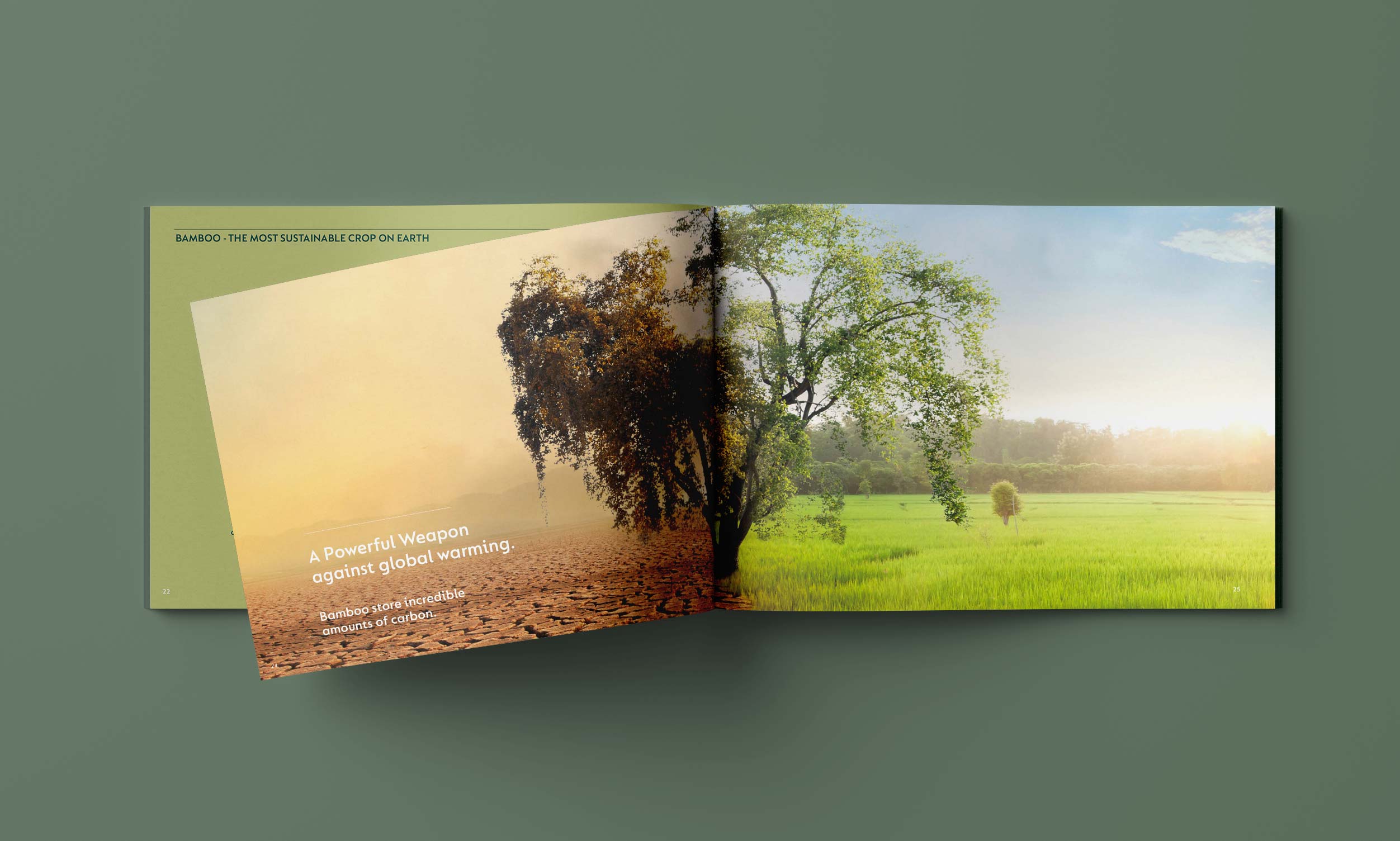 BAMBOO - Company Profile Booklet. Brand Story. Advertising Agency in Taiwan. Marketing and Branding - BE LUCKY Taipei.