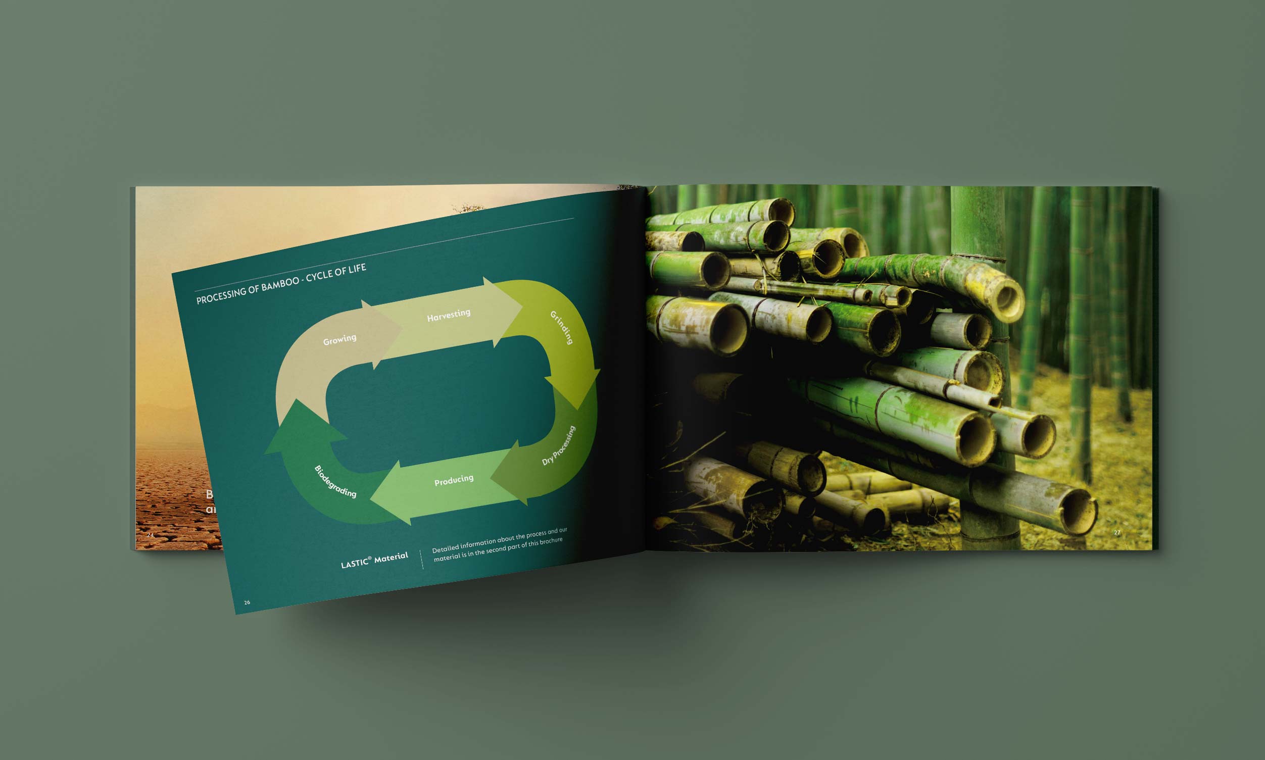 BAMBOO - Company Profile Booklet. Brand Story. Advertising Agency in Taiwan. Marketing and Branding - BE LUCKY Taipei.