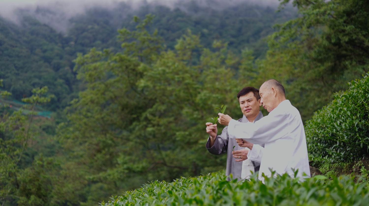 Le Rong Hao Tea - Masters' Edition - TV Commercial. Advertising Agency in Taiwan. Marketing, Branding, Video & Film Production - BE LUCKY Taipei.