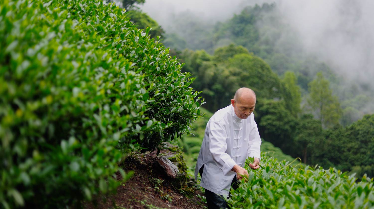 Le Rong Hao Tea - Masters' Edition - TV Commercial. Advertising Agency in Taiwan. Marketing, Branding, Video & Film Production - BE LUCKY Taipei.