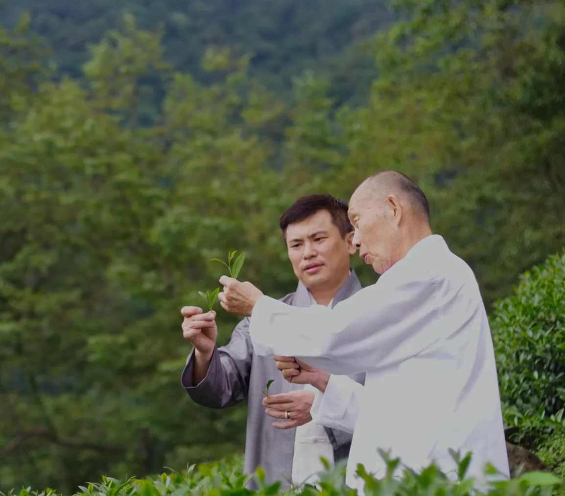 Le Rong Hao Tea - Masters' Edition - TV Commercial. Advertising Agency in Taiwan. Marketing, Branding, Video & Film Production - BE LUCKY Taipei.